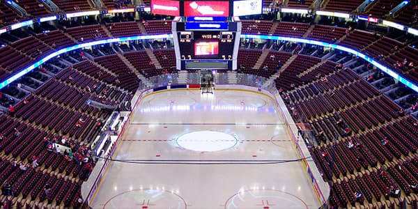 Image of Toronto Maple Leafs