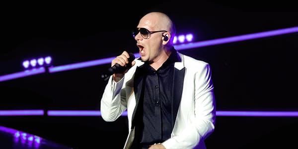 Image of Pitbull