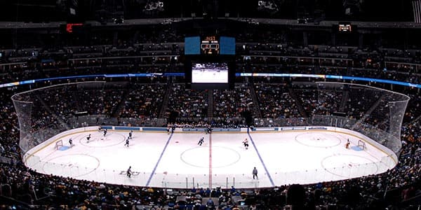 Image of Colorado Avalanche