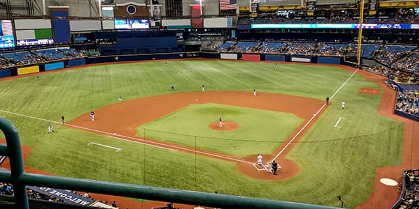 Image of Tampa Bay Rays