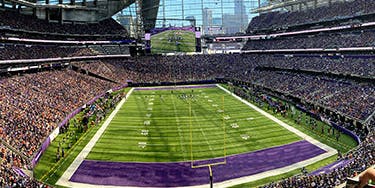 Image of Minnesota Vikings