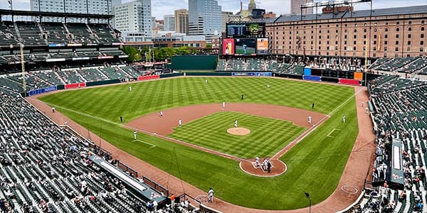 Image of Baltimore Orioles