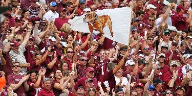 Image of Mississippi State Bulldogs Football At Mississippi State, MS - Davis Wade Stadium At Scott Field