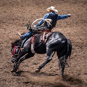 Image of Bull Riding At Minot, ND - All Seasons Arena At North Dakota State Fairgrounds
