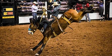 Image of National Finals Rodeo