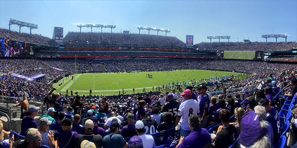 Image of Baltimore Ravens
