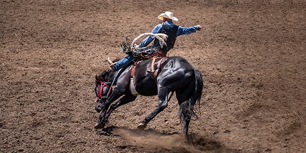 Image of Bulls, Bands And Barrels