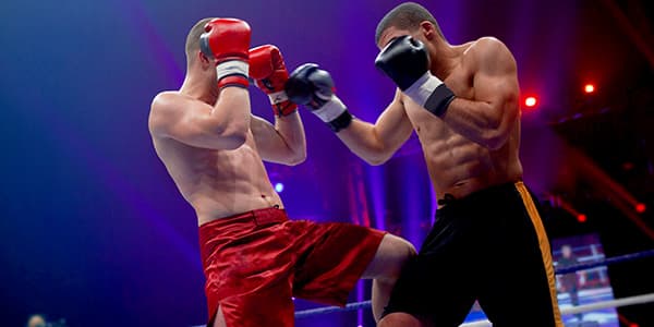 Image of Fists of Fury Series